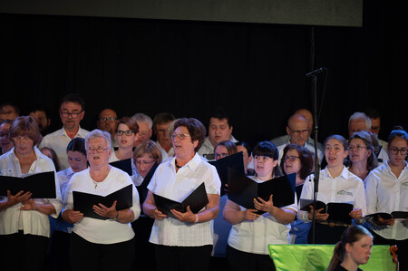 Občinski praznik 30 let (152)